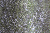 Ceann Tangabhal fibreglass roof work